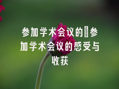 参加学术会议的_参加学术会议的感受与收获