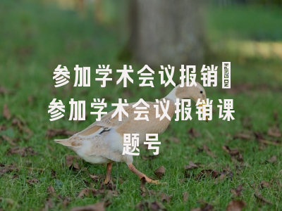 参加学术会议报销_参加学术会议报销课题号