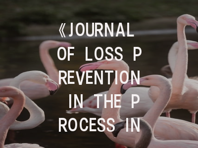 《JOURNAL OF LOSS PREVENTION IN THE PROCESS INDUSTRIES》期刊介绍与投稿策略