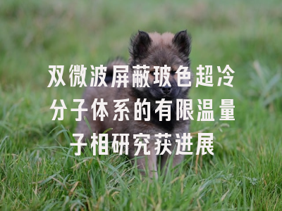 双微波屏蔽玻色超冷分子体系的有限温量子相研究获进展