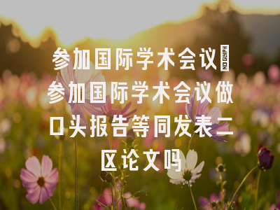 参加国际学术会议_参加国际学术会议做口头报告等同发表二区论文吗