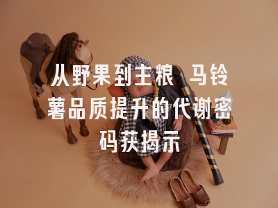 从野果到主粮 马铃薯品质提升的代谢密码获揭示