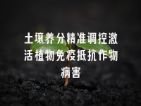 学术会议在线