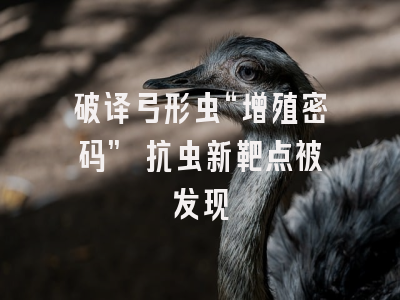 破译弓形虫“增殖密码” 抗虫新靶点被发现