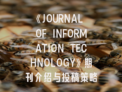 《JOURNAL OF INFORMATION TECHNOLOGY》期刊介绍与投稿策略