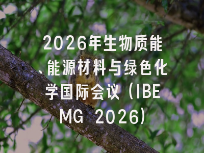2026年生物质能、能源材料与绿色化学国际会议(IBEMG 2026)