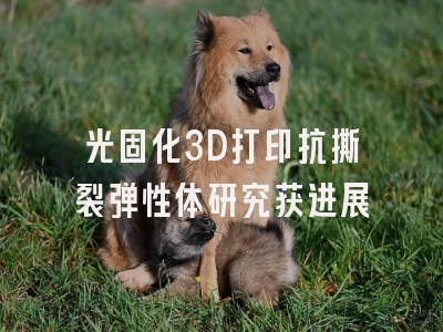 光固化3D打印抗撕裂弹性体研究获进展