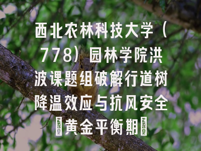 西北农林科技大学（778）园林学院洪波课题组破解行道树降温效应与抗风安全”黄金平衡期”