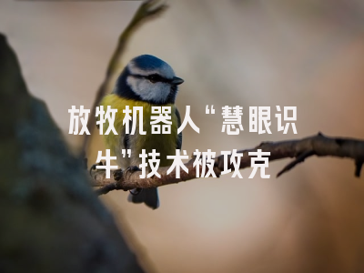 放牧机器人“慧眼识牛”技术被攻克