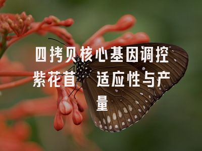 四拷贝核心基因调控紫花苜蓿适应性与产量