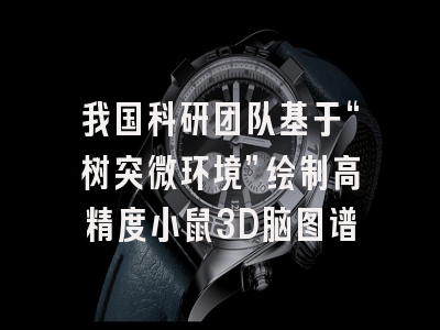 我国科研团队基于“树突微环境”绘制高精度小鼠3D脑图谱