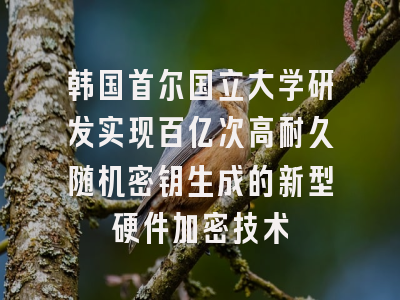 韩国首尔国立大学研发实现百亿次高耐久随机密钥生成的新型硬件加密技术