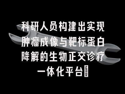 科研人员构建出实现肿瘤成像与靶标蛋白降解的生物正交诊疗一体化平台 