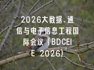 2026大数据、通信与电子信息工程国际会议（BDCEIE 2026）
