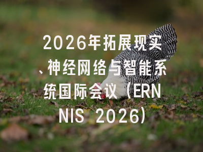 2026年拓展现实、神经网络与智能系统国际会议（ERNNIS 2026）
