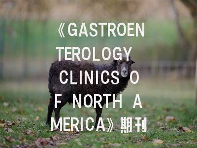 《GASTROENTEROLOGY CLINICS OF NORTH AMERICA》期刊介绍与投稿策略,gastroenterology中文