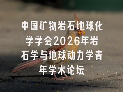 中国矿物岩石地球化学学会2026年岩石学与地球动力学青年学术论坛