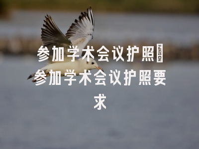 参加学术会议护照_参加学术会议护照要求