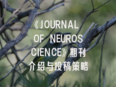 《JOURNAL OF NEUROSCIENCE》期刊介绍与投稿策略