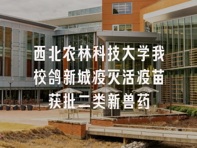 西北农林科技大学我校鸽新城疫灭活疫苗获批二类新兽药