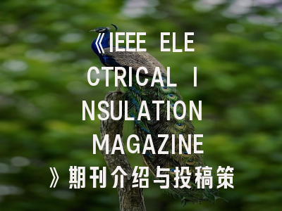 《IEEE ELECTRICAL INSULATION MAGAZINE》期刊介绍与投稿策略,ieee刊物