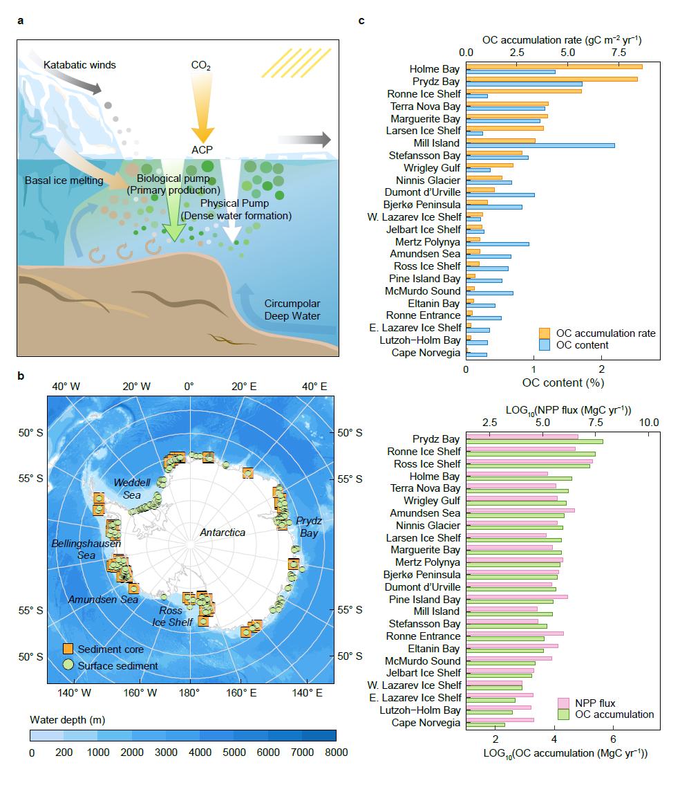 北京大学城市与环境学院王学军和刘茂甸课题组揭示气候变暖显著放大南极沿岸冰间湖的碳汇能力
