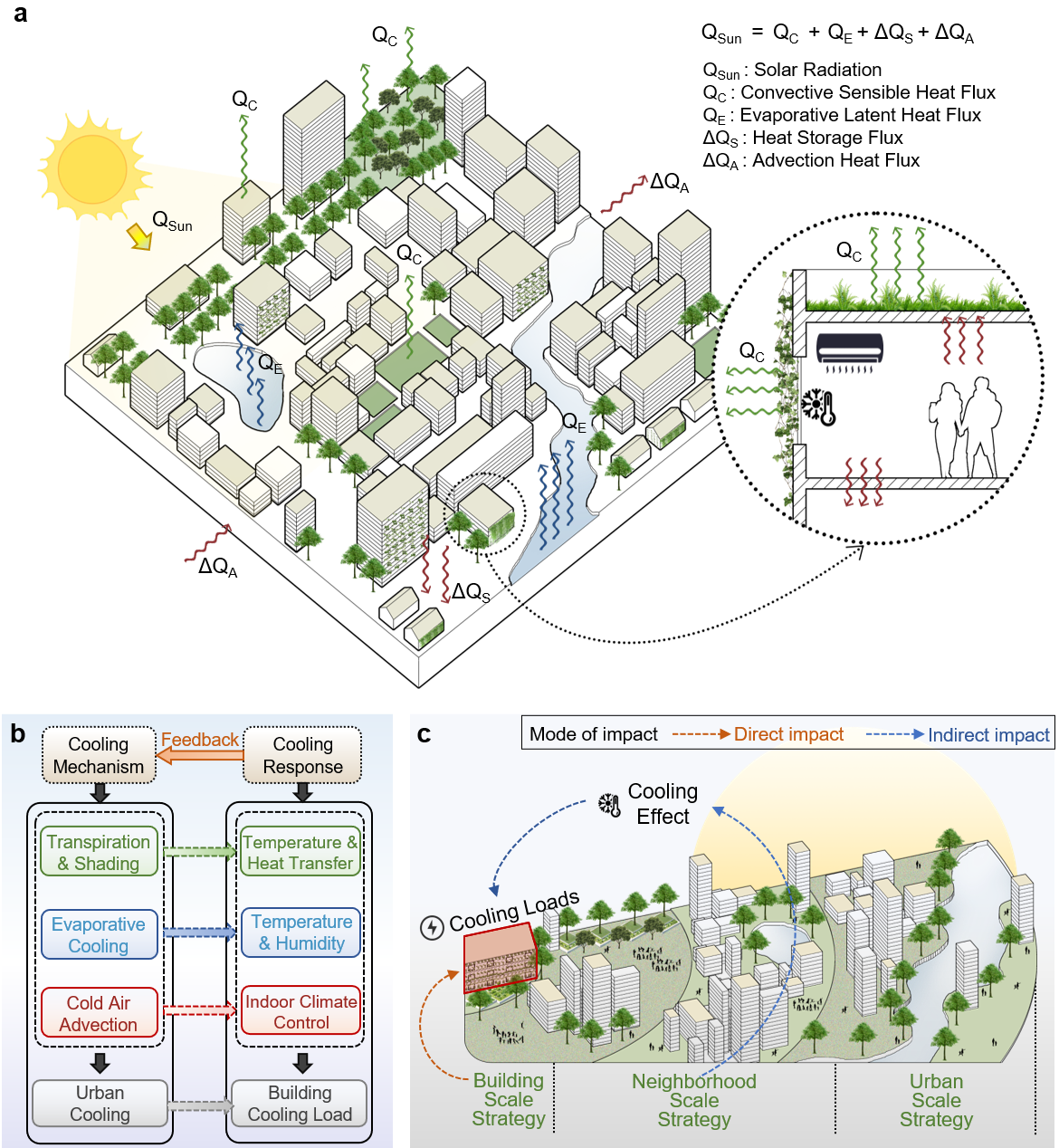 东南大学王伟团队在《自然城市》发表基于自然解决方案的城市降温与节能效应研究成果