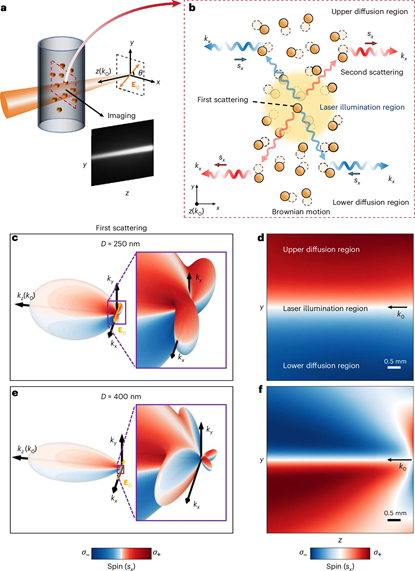 上海交大王波、陈险峰研究团队在具有布朗运动的纳米颗粒系统中发现巨大光子自旋锁定效应