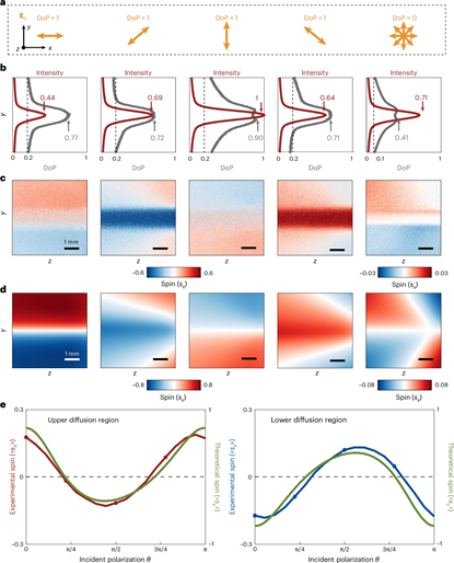 上海交大王波、陈险峰研究团队在具有布朗运动的纳米颗粒系统中发现巨大光子自旋锁定效应