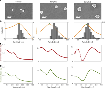 上海交大王波、陈险峰研究团队在具有布朗运动的纳米颗粒系统中发现巨大光子自旋锁定效应