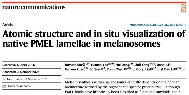 上海交大李丹课题组揭示PMEL组装聚集形成黑色素体的全新机制