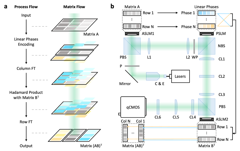 上海交大郭旭涵、苏翼凯、王开志及合作团队发表相干光张量处理的最新进展