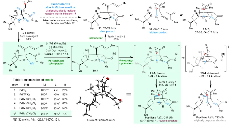 上海交大侯四化课题组JACS发文:首次全合成多环二萜Papililone A