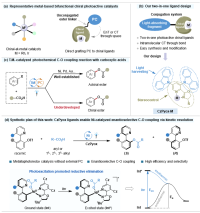 学术会议在线