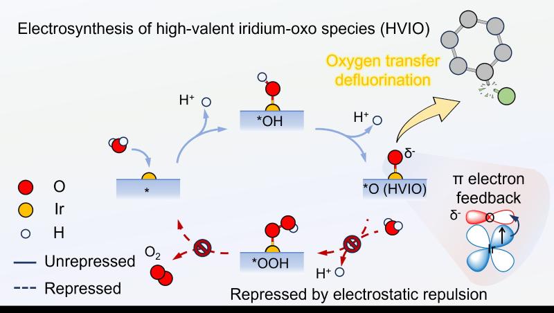 上海交大么艳彩副教授JACS发文报道电合成高价铱氧物种用于高效氧转移脱氟