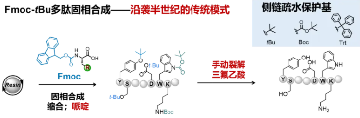 上海交大药学院王平课题组JACS发文：基于吡啶甲基的多肽合成新策略
