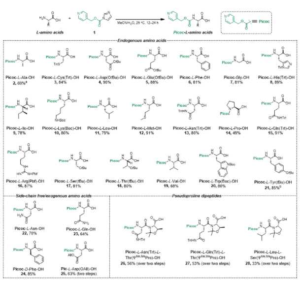 上海交大药学院王平课题组JACS发文：基于吡啶甲基的多肽合成新策略