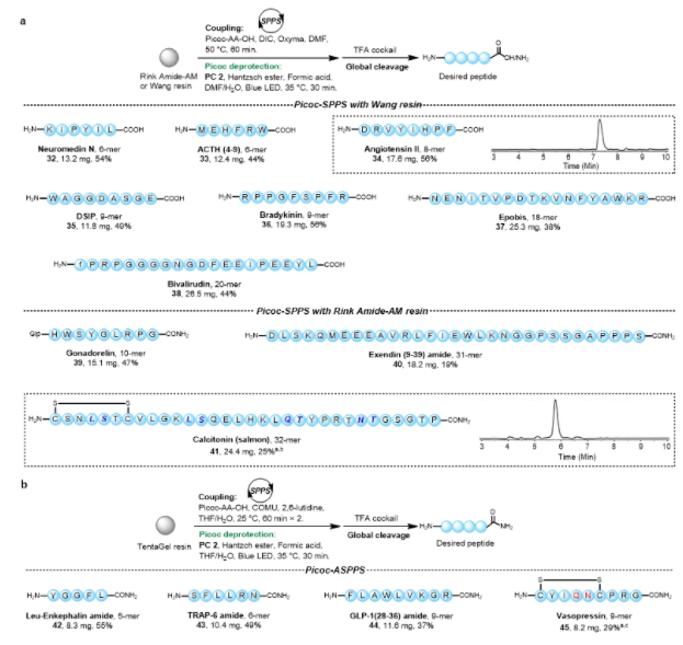 上海交大药学院王平课题组JACS发文：基于吡啶甲基的多肽合成新策略