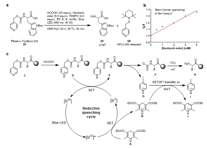 上海交大药学院王平课题组JACS发文：基于吡啶甲基的多肽合成新策略