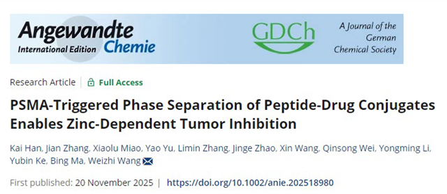 北理工课题组在相分离靶向多肽自适应识别与精准调控方面取得进展
