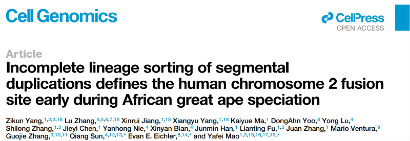 上海交大毛亚飞团队研究解开现代人染色体融合之谜
