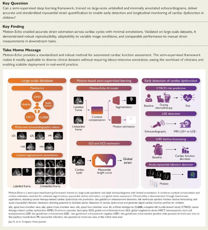 上海交大生物医学工程学院金成课题组与合作者发表研究成果助力打造儿童心脏数字画像