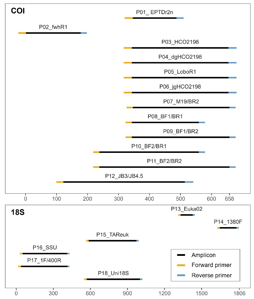北京大学生命科学学院姚蒙研究组系统评估无脊椎动物宏条形码引物,助力eDNA生物多样性研究