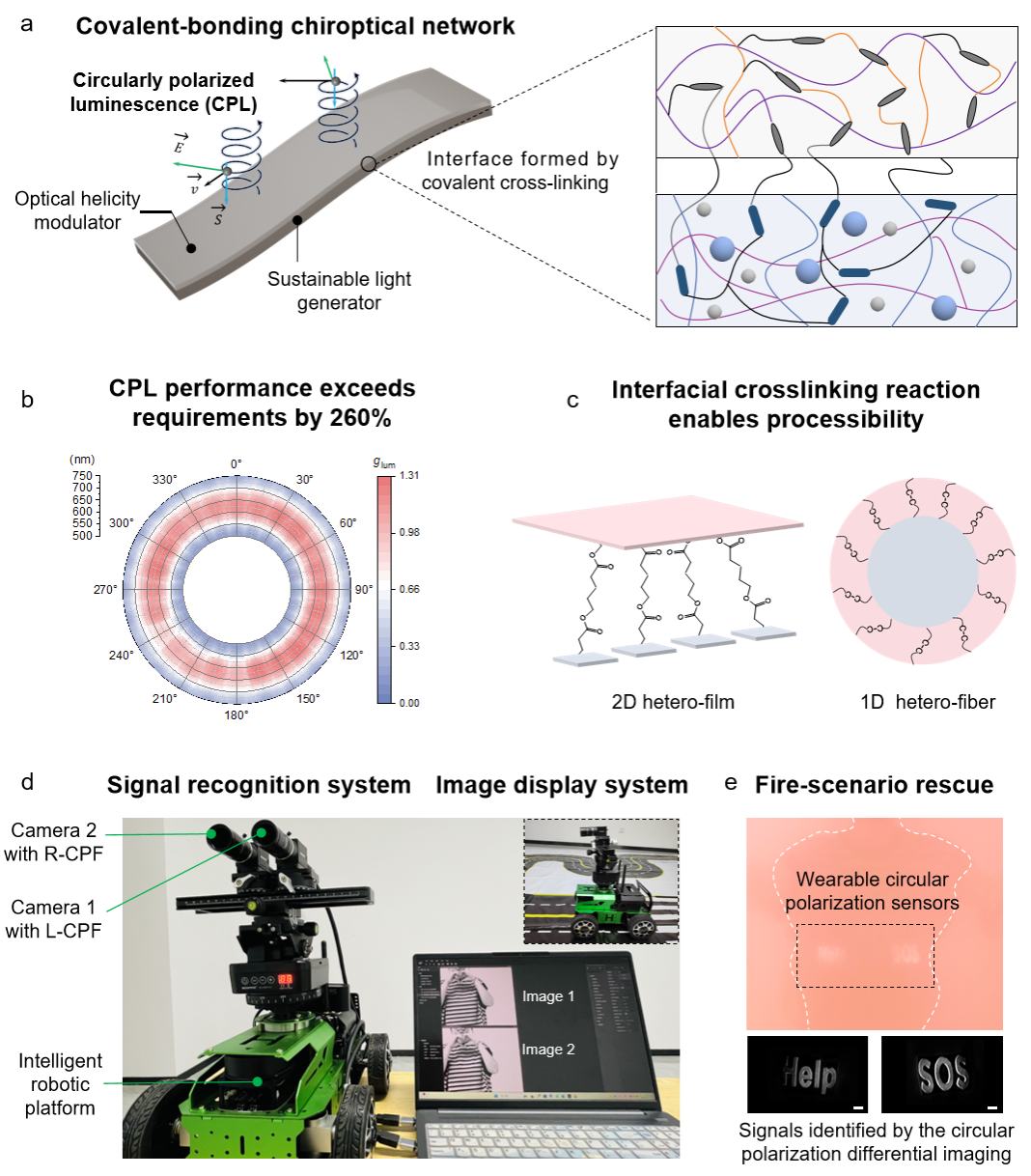 中国科大创制可穿戴圆偏振光学传感器件