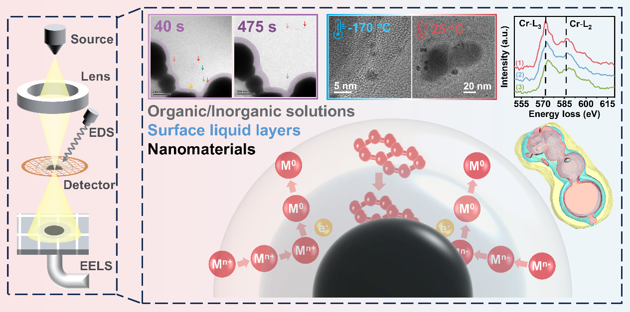 环境科学与工程学院凌岚团队多模态电子显微可视化固液界面表面液层内纳米尺度动态化学研究成果发表于《美国化学会志》