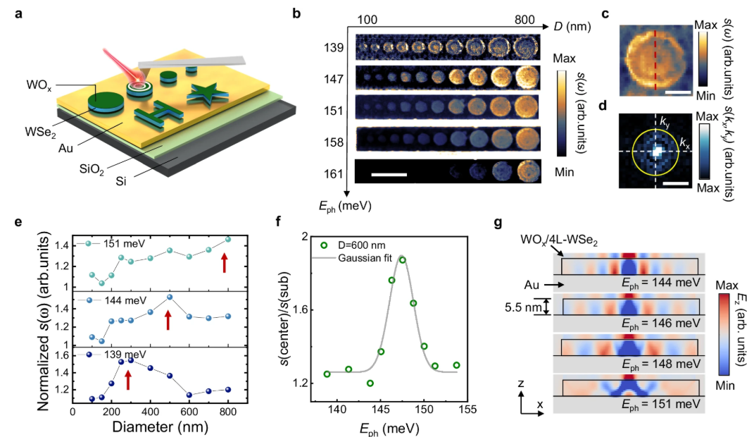 东南大学骆越教授在《自然通讯》上发表最新研究成果