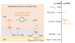 电子科技大学基础院崔春华教授团队在JACS 发文揭示CO₂激活水合电子机制