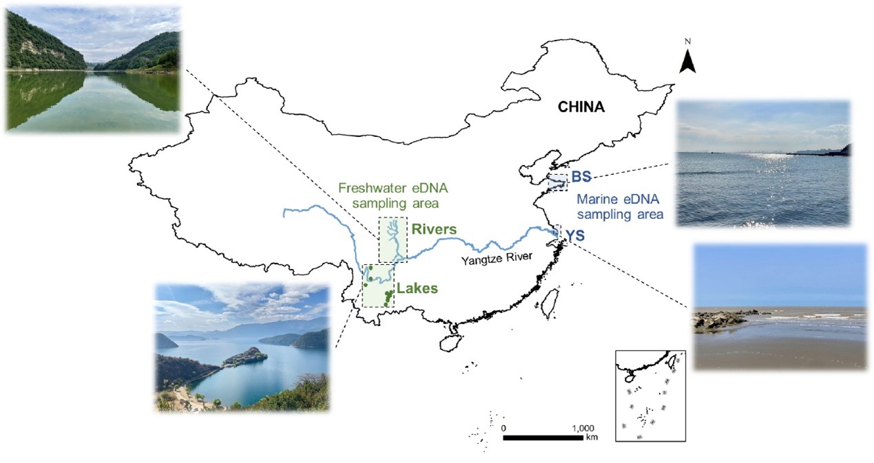 北京大学生命科学学院姚蒙研究组系统评估无脊椎动物宏条形码引物,助力eDNA生物多样性研究