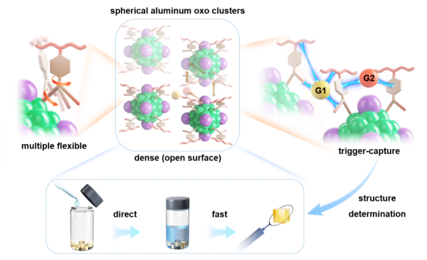 球形铝氧团簇的表面主客体化学研究获进展