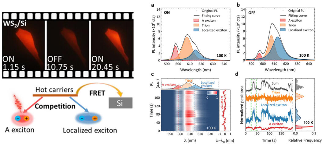 东南大学倪振华、吕俊鹏课题组在《先进材料》上发表最新研究成果
